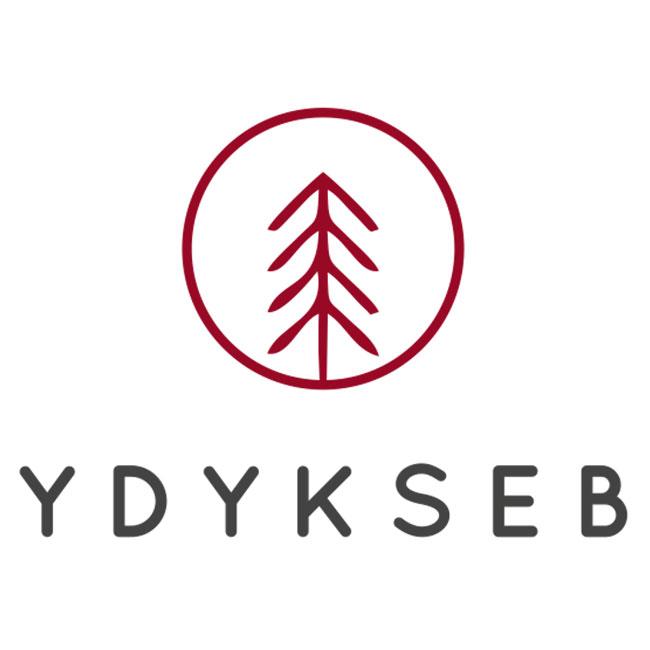 YDYKSEB